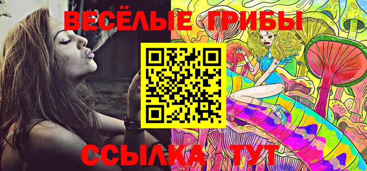 закладка  Галлюциногенные грибы мухоморы  Ноябрьск  Вход с VPN  Галлюциногенные грибы Magic Shrooms 