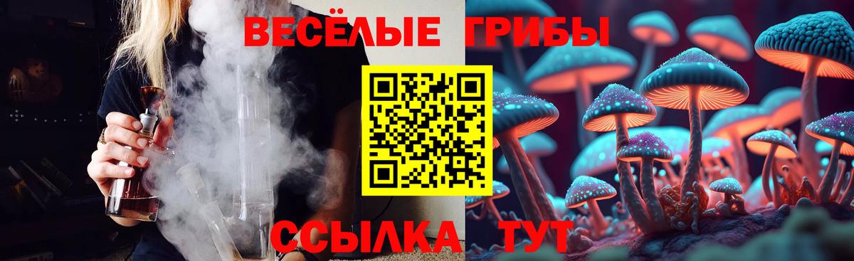 Псилоцибиновые грибы мицелий Ноябрьск